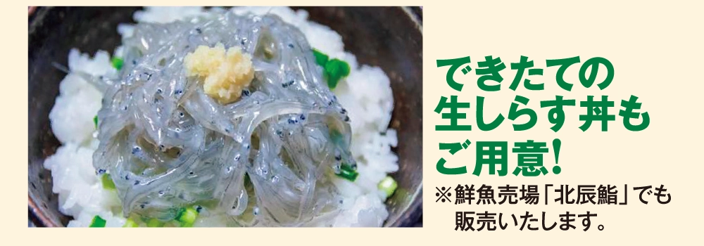 できたての生しらす丼もご用意!