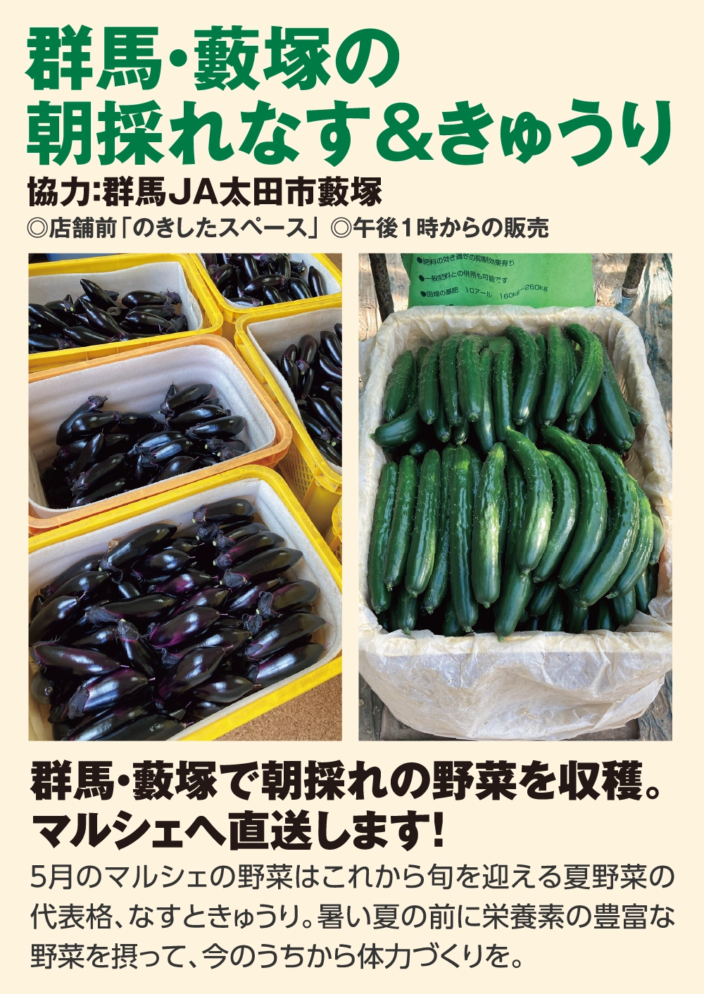 群馬・藪塚の朝採れなす&きゅうり
