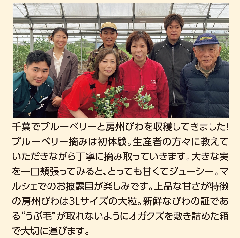 千葉でブルーベリーと房州びわを収穫してきました！ブルーベリー摘みは初体験。生産者の方々に教えていただきながら丁寧に摘み取っていきます。大きな実を一口頬張ってみると、とっても甘くてジューシー。マルシェでのお披露目が楽しみです。上品な甘さが特徴の房州びわは３Lサイズの大粒。新鮮なびわの証である“うぶ毛”が取れないようにオガクズを敷き詰めた箱で大切に運びます。