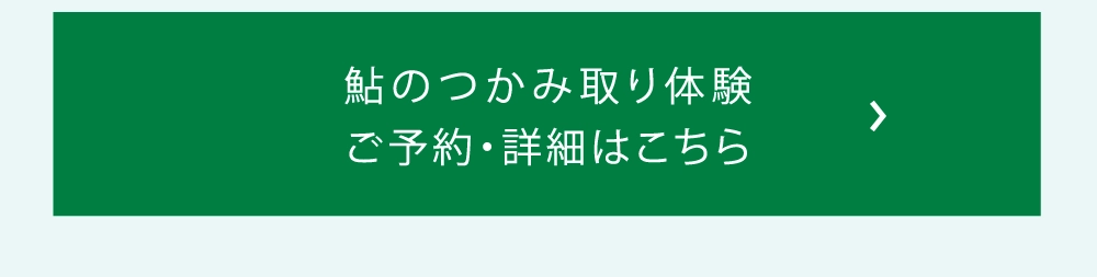 鮎のつかみ取り体験ご予約・詳細はこちら