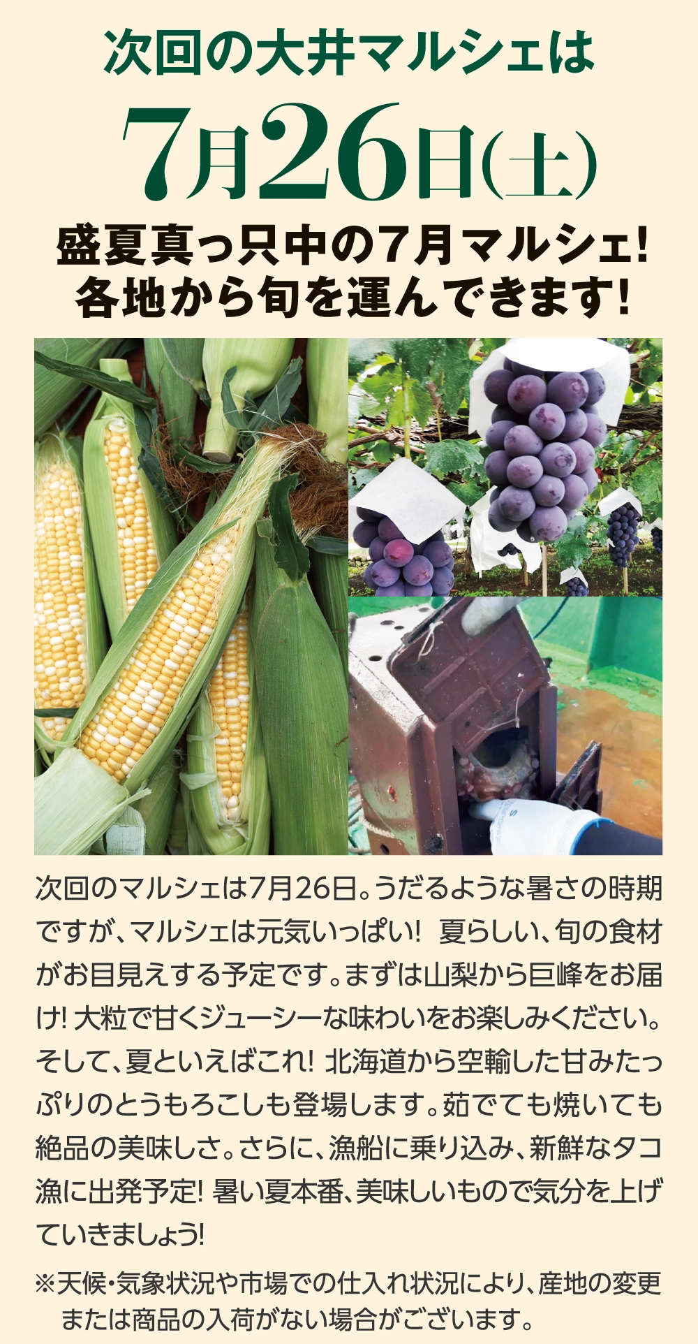 次回の大井マルシェは7月26日（土）