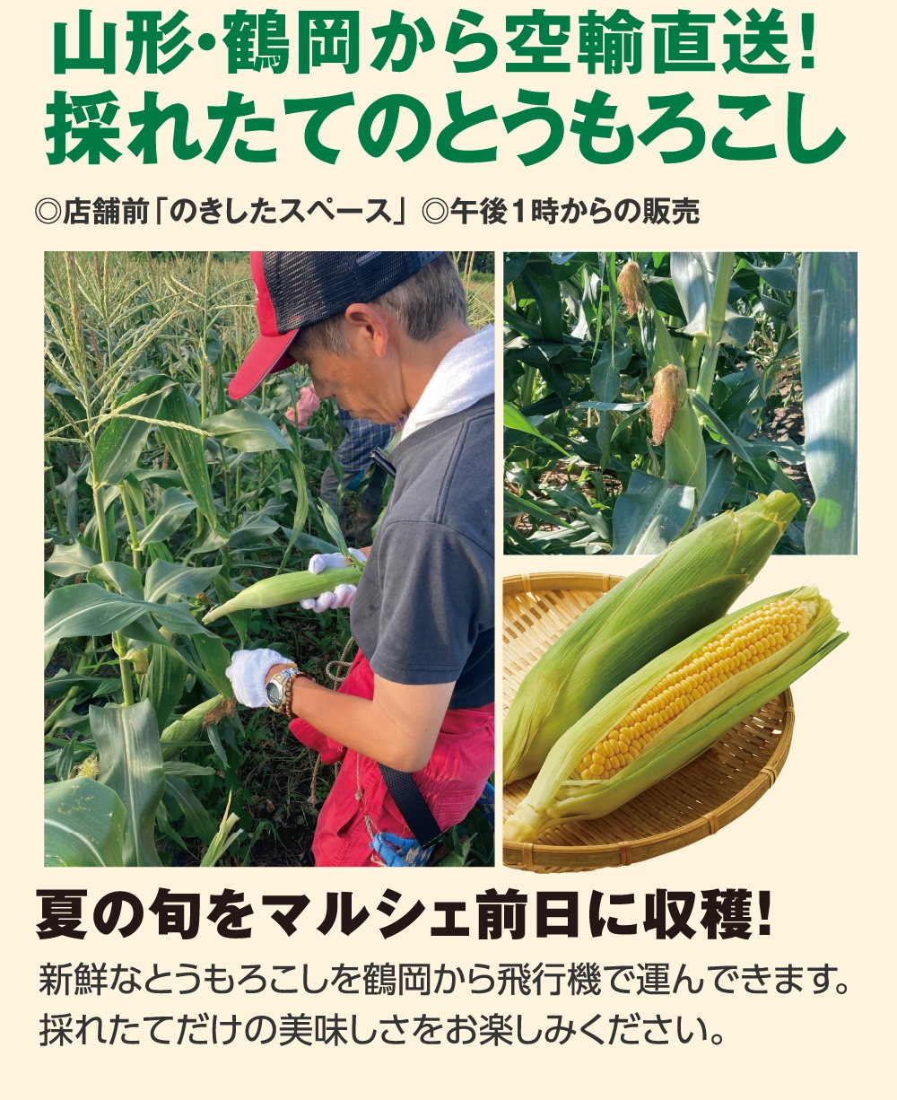 山形・鶴岡から空輸直送！
採れたてのとうもろこし