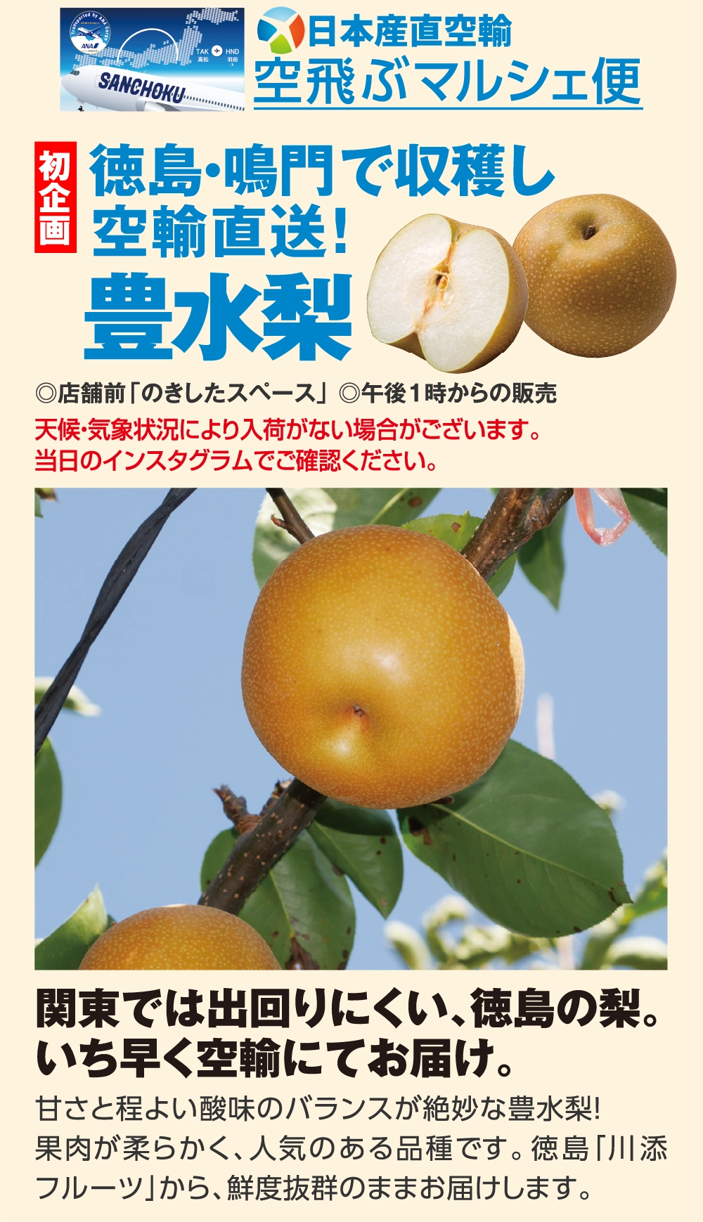 豊水梨