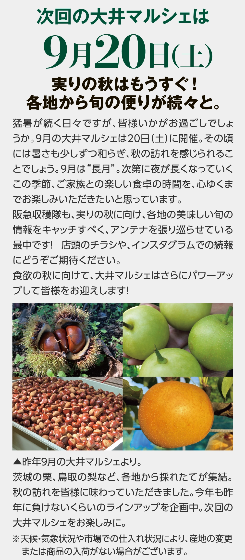 次回の大井マルシェは9月20日（土）