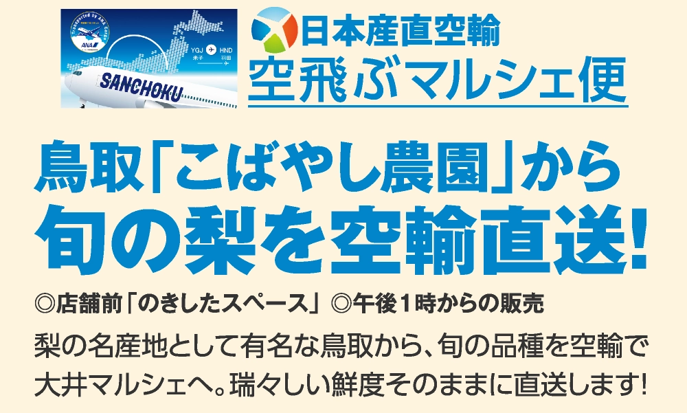 鳥取「こばやし農園」から旬の梨を空輸直送！