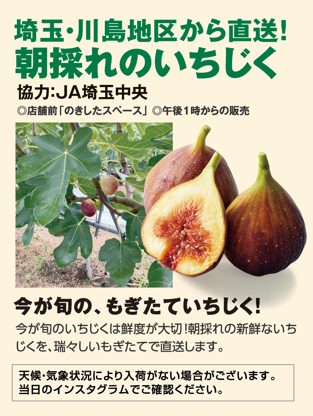 埼玉・川島地区から直送！
朝採れのいちじく