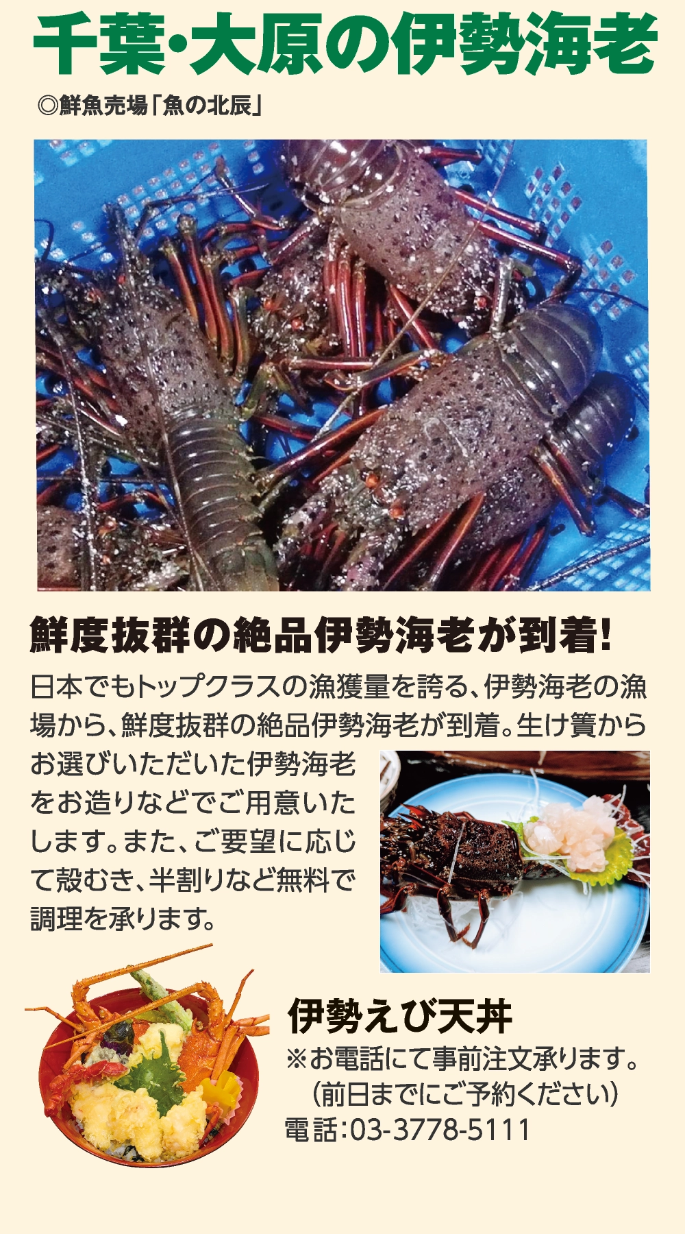 千葉・大原の伊勢海老