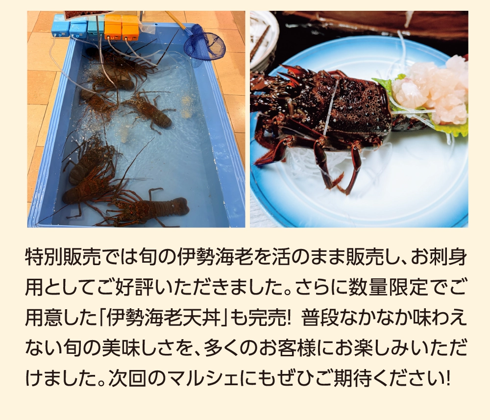 特別販売では旬の伊勢海老を活のまま販売し、お刺身用としてご好評いただきました。さらに数量限定でご用意した「伊勢海老天丼」も完売！ 普段なかなか味わえない旬の美味しさを、多くのお客様にお楽しみいただけました。次回のマルシェにもぜひご期待ください！