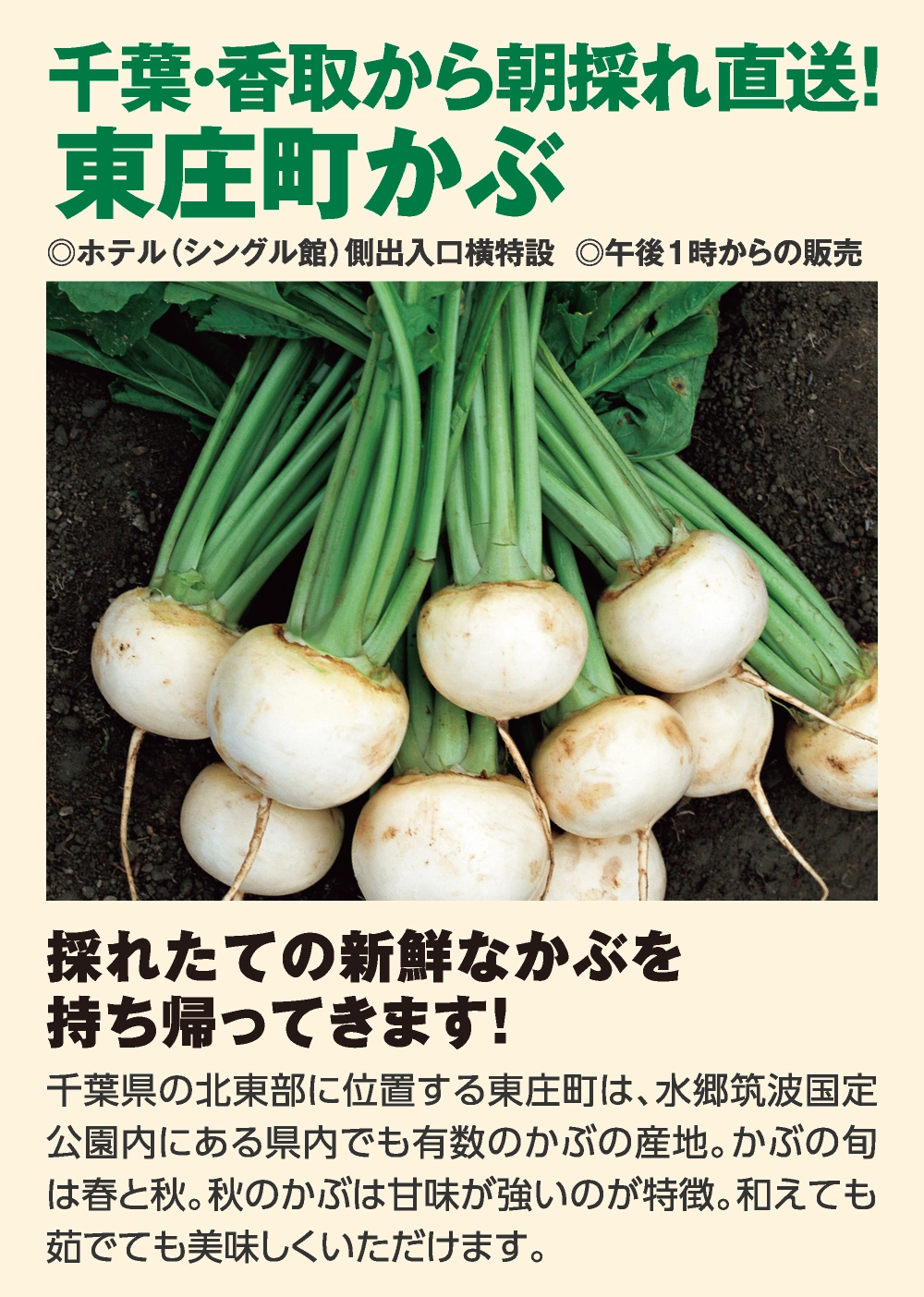 千葉・香取から朝採れ直送！
東庄町かぶ