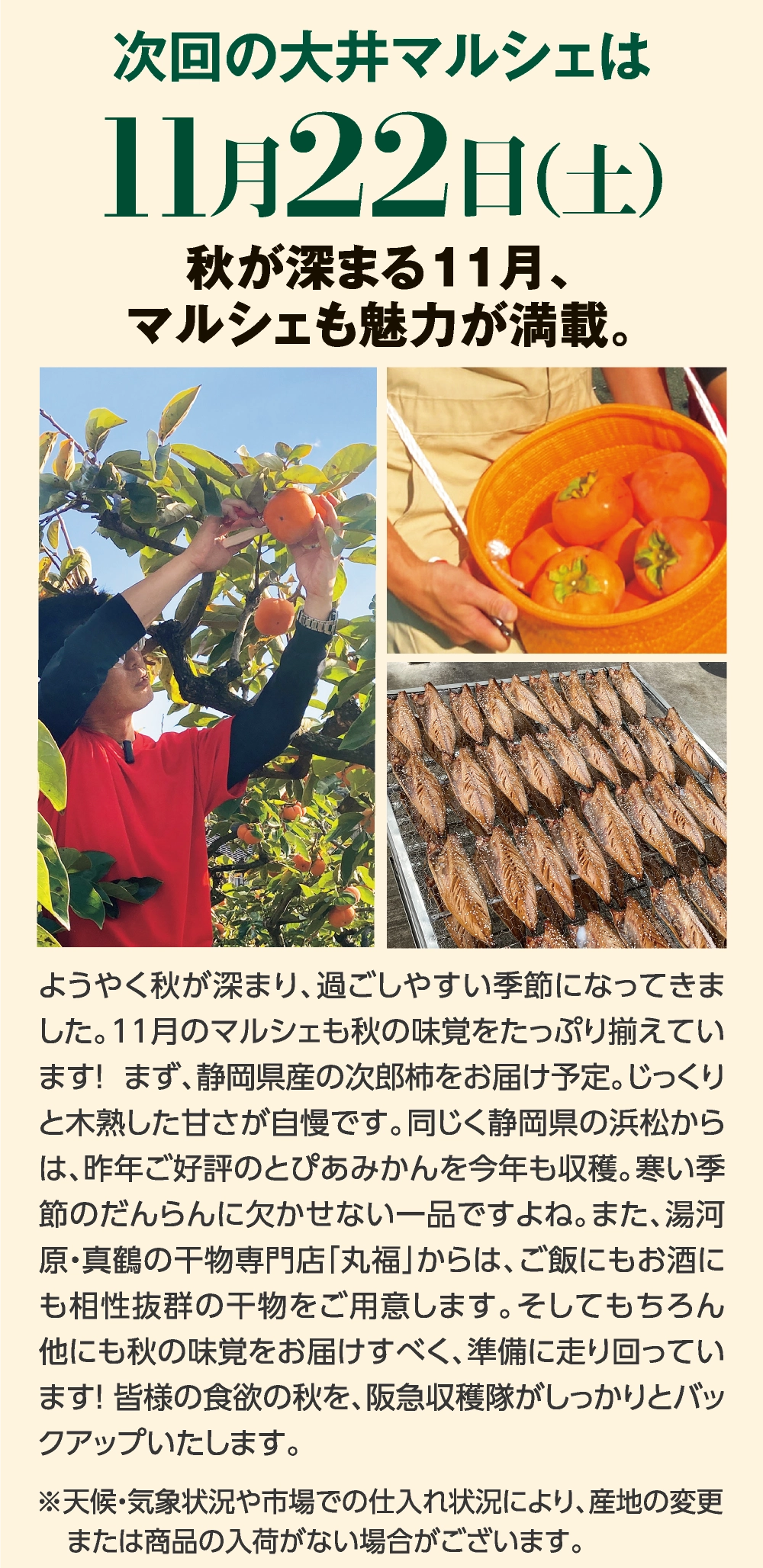 次回の大井マルシェは11月22日（土）