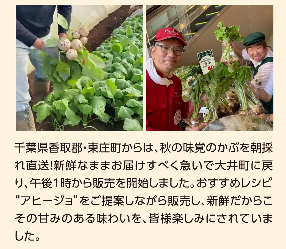 千葉県香取郡・東庄町からは、秋の味覚のかぶを朝採れ直送！新鮮なままお届けすべく急いで大井町に戻り、午後1時から販売を開始しました。おすすめレシピ“アヒージョ”をご提案しながら販売し、新鮮だからこその甘みのある味わいを、皆様楽しみにされていました。