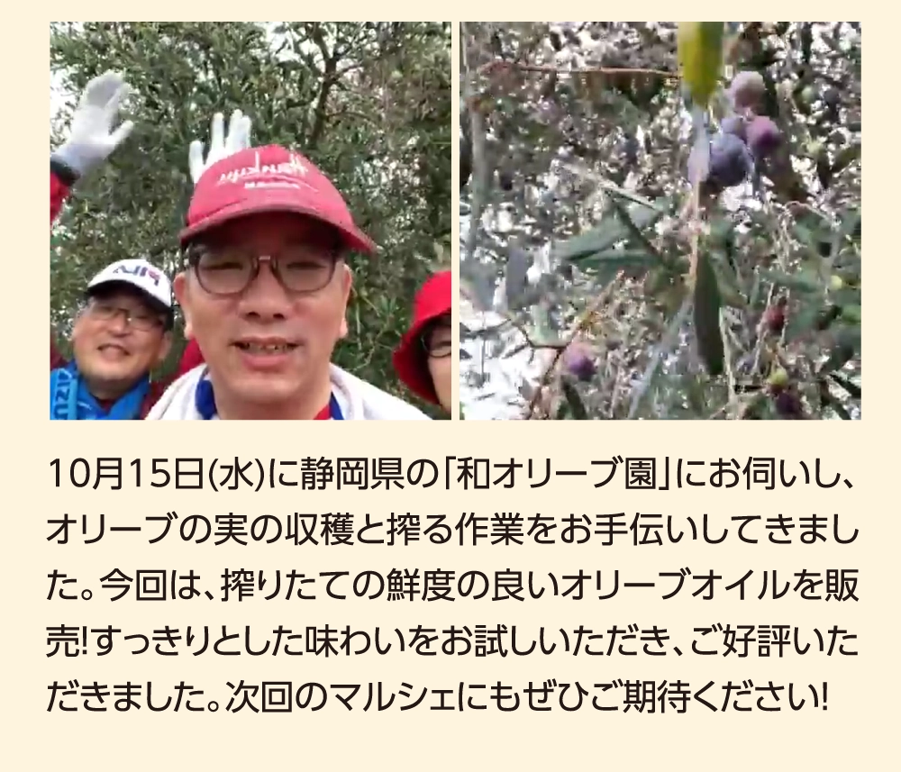 10月15日(水)に静岡県の「和オリーブ園」にお伺いし、オリーブの実の収穫と搾る作業をお手伝いしてきました。今回は、搾りたての鮮度の良いオリーブオイルを販売！すっきりとした味わいをお試しいただき、ご好評いただきました。次回のマルシェにもぜひご期待ください！