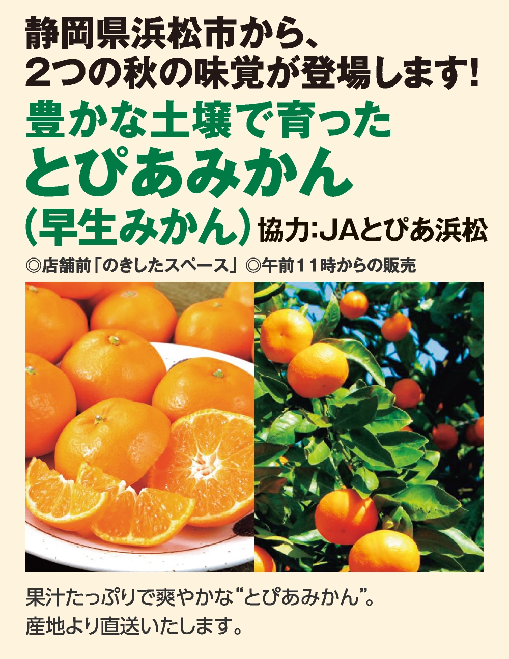 とぴあみかん（早生みかん）