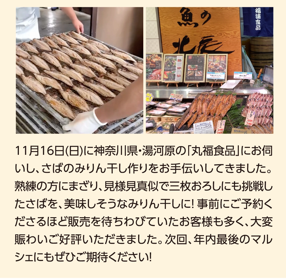 11月16日(日)に神奈川県・湯河原の「丸福食品」にお伺いし、さばのみりん干し作りをお手伝いしてきました。熟練の方にまざり、見様見真似で三枚おろしにも挑戦したさばを、美味しそうなみりん干しに！事前にご予約くださるほど販売を待ちわびていたお客様も多く、大変賑わいご好評いただきました。次回、年内最後のマルシェにもぜひご期待ください！