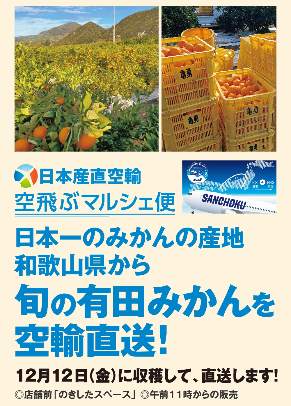 旬の有田みかんを空輸直送！