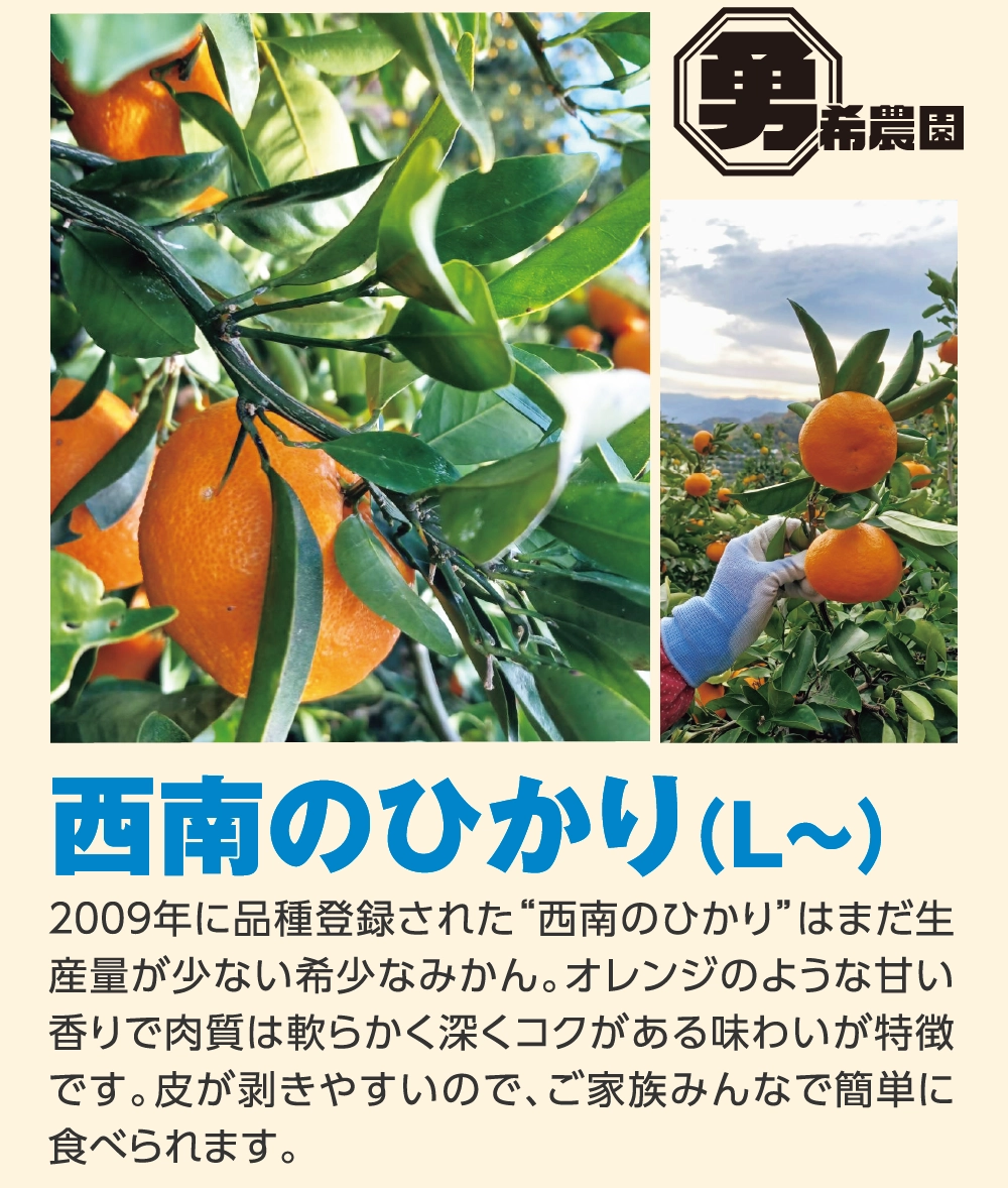 西南のひかり（Ｌ〜）