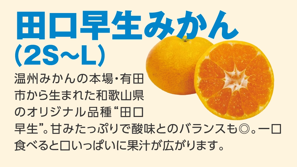 田口早生みかん（2S〜L）