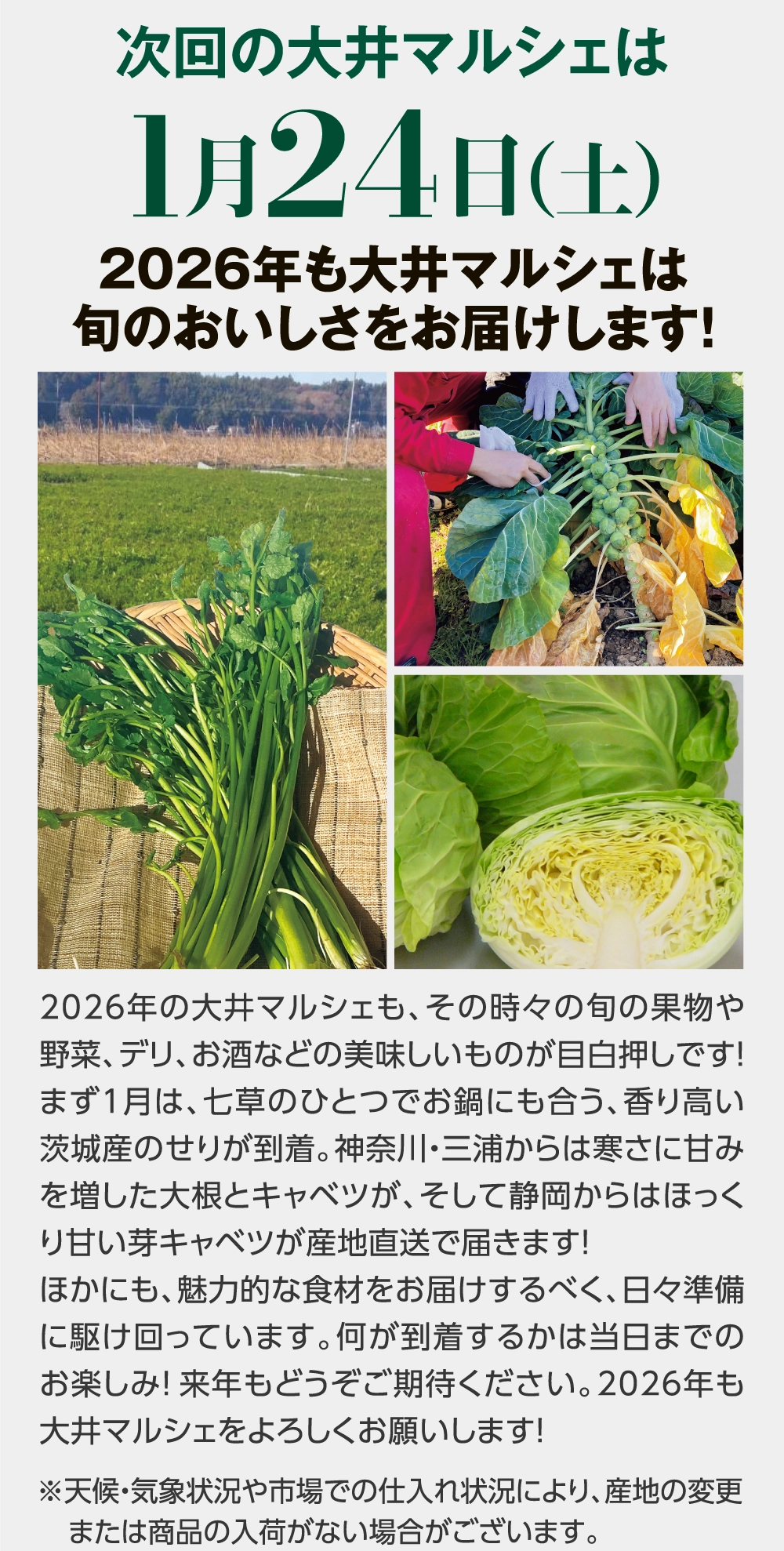 次回の大井マルシェは1月24日（土）