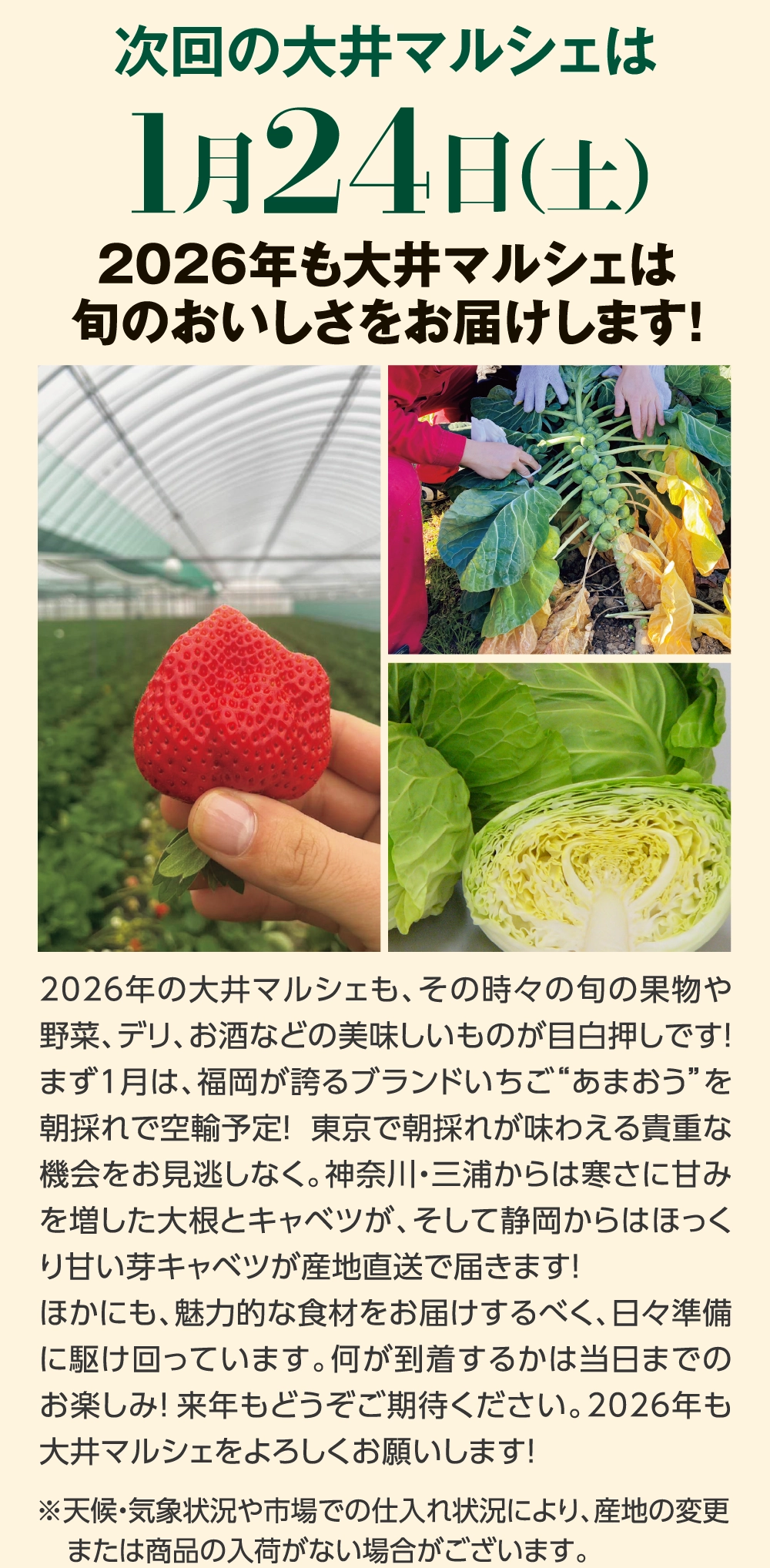 次回の大井マルシェは1月24日（土）