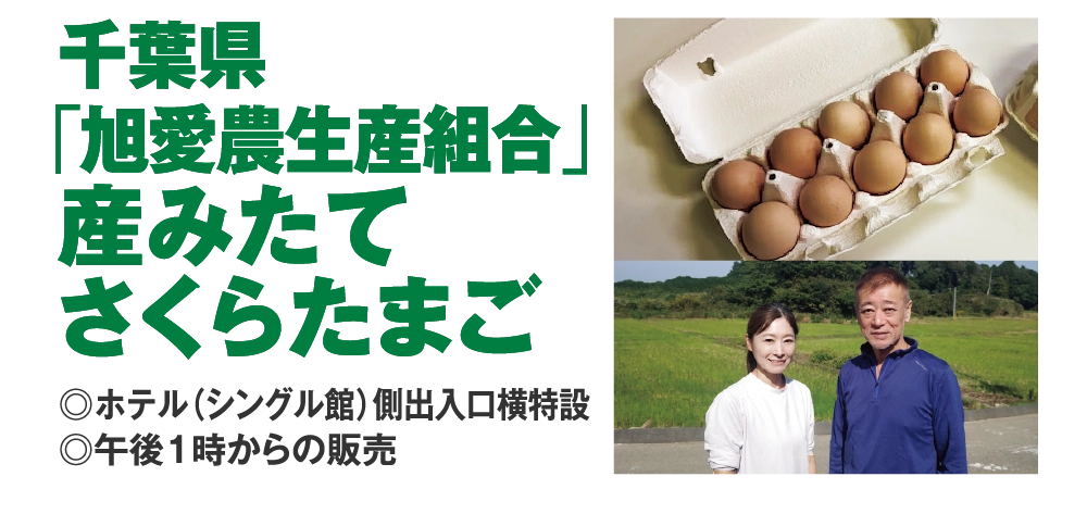 千葉県「旭愛農生産組合」産みたてさくらたまご
