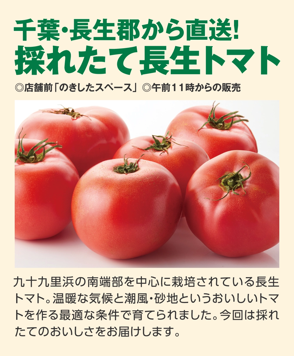 千葉・長生郡から直送！
採れたて長生トマト