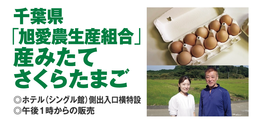 千葉県「旭愛農生産組合」産みたてさくらたまご