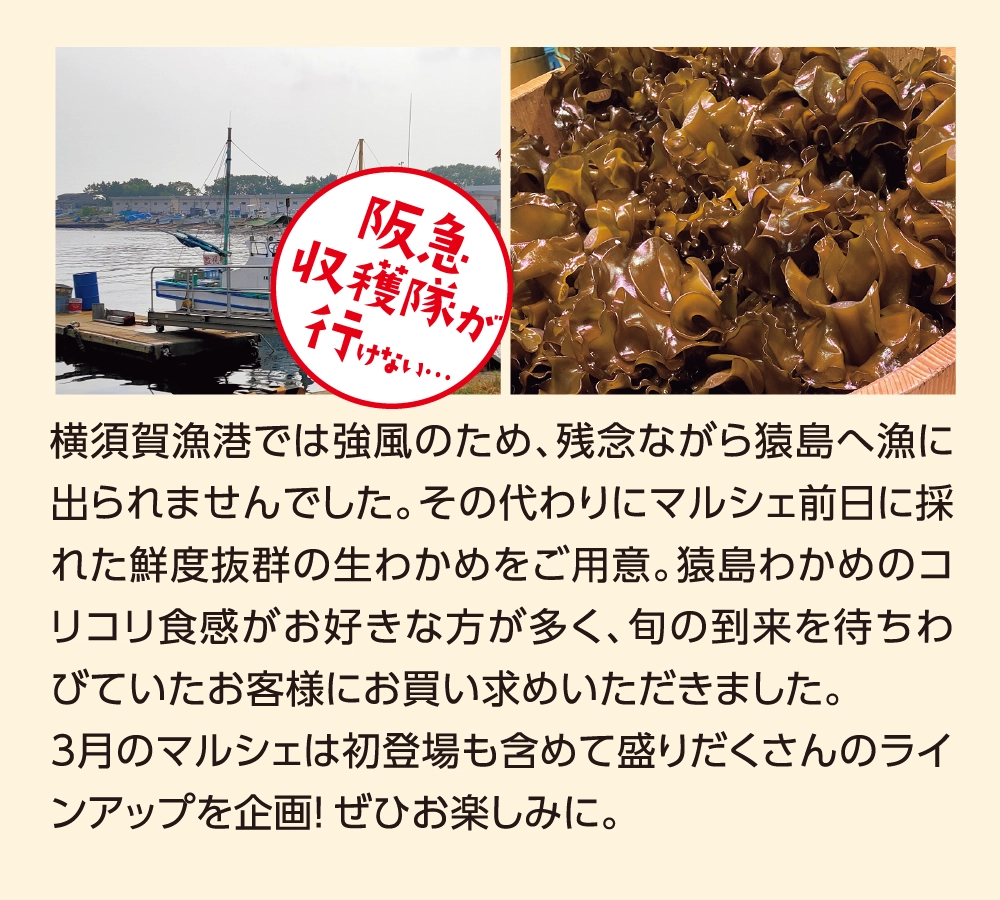 横須賀漁港では強風のため、残念ながら猿島へ漁に出られませんでした。その代わりにマルシェ前日に採れた鮮度抜群の生わかめをご用意。猿島わかめのコリコリ食感がお好きな方が多く、旬の到来を待ちわびていたお客様にお買い求めいただきました。3月のマルシェは初登場も含めて盛りだくさんのラインアップを企画！ぜひお楽しみに。