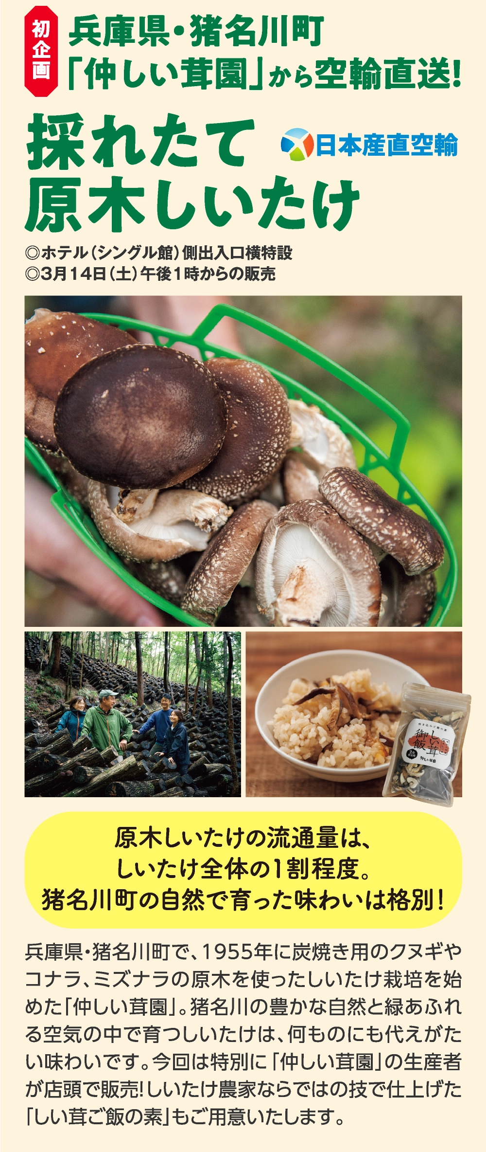 採れたて
原木しいたけ