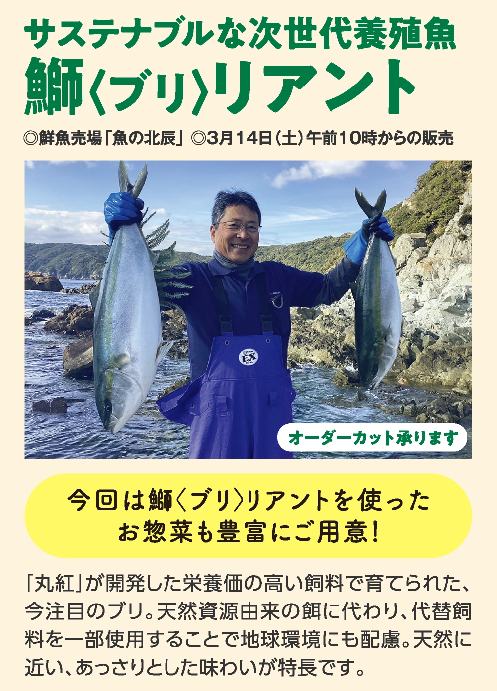 鰤〈ブリ〉リアント