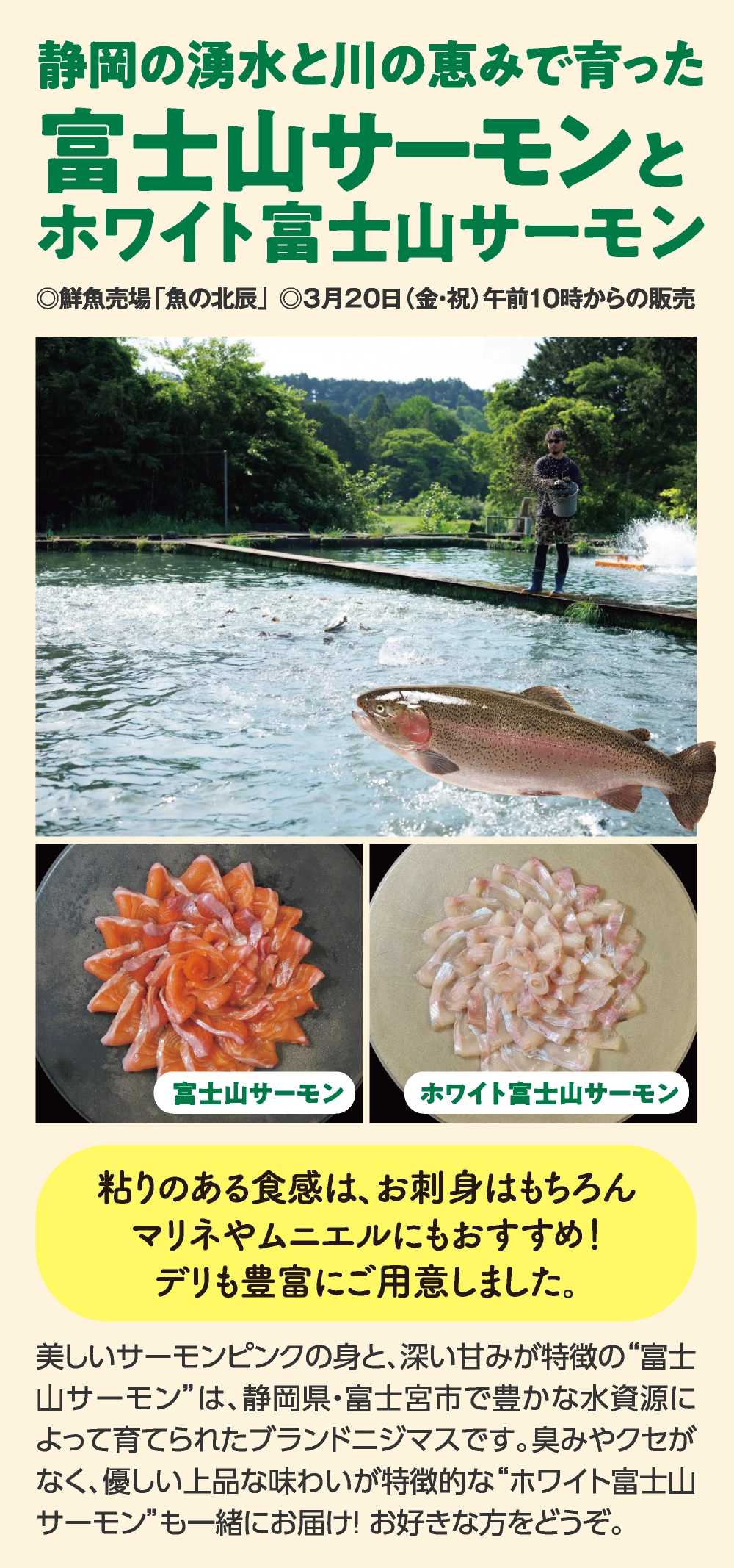 富士山サーモンと
ホワイト富士山サーモン