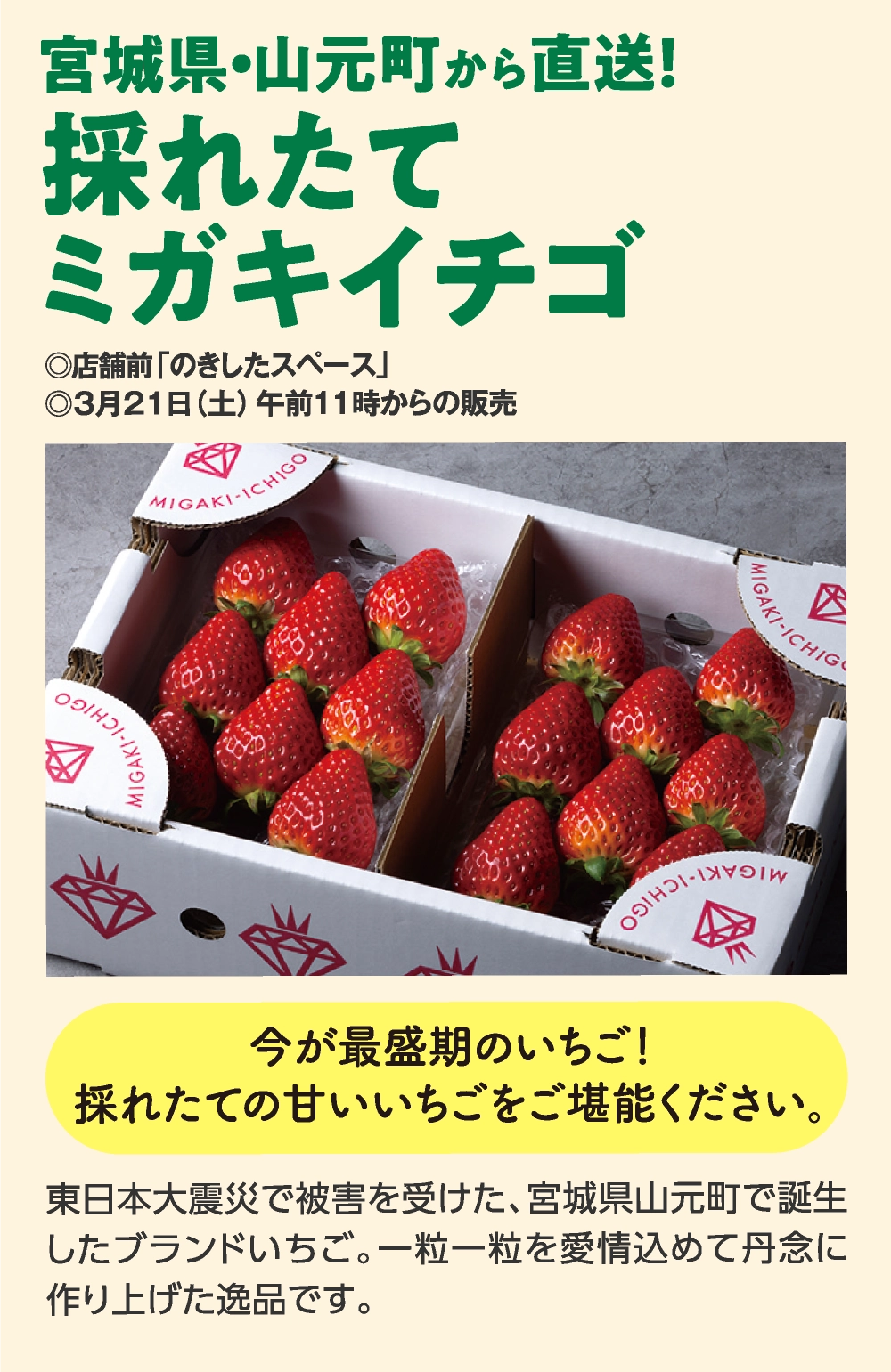 採れたて
ミガキイチゴ