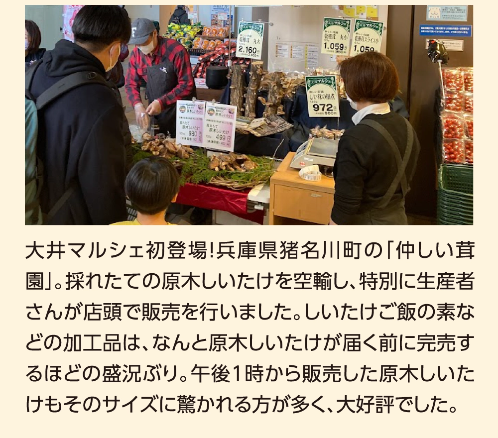大井マルシェ初登場！兵庫県猪名川町の「仲しい茸園」。採れたての原木しいたけを空輸し、特別に生産者さんが店頭で販売を行いました。しいたけご飯の素などの加工品は、なんと原木しいたけが届く前に完売するほどの盛況ぶり。午後1時から販売した原木しいたけもそのサイズに驚かれる方が多く、大好評でした。