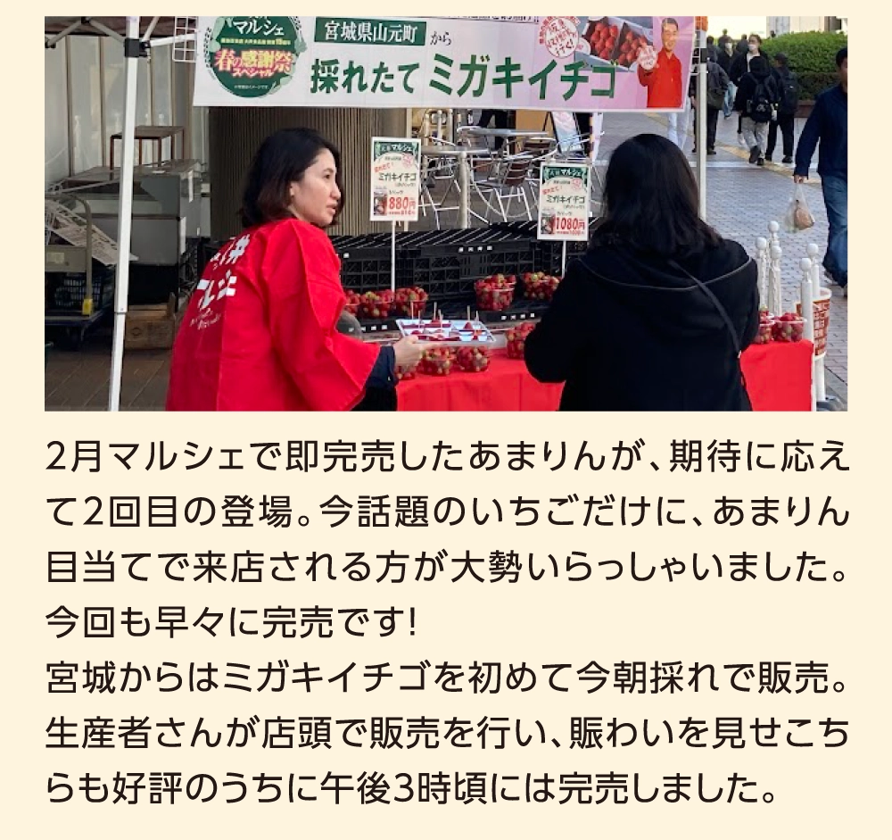 2月マルシェで即完売したあまりんが、期待に応えて2回目の登場。今話題のいちごだけに、あまりん目当てで来店される方が大勢いらっしゃいました。今回も早々に完売です！宮城からはミガキイチゴを初めて今朝採れで販売。生産者さんが店頭で販売を行い、賑わいを見せこちらも好評のうちに午後3時頃には完売しました。
