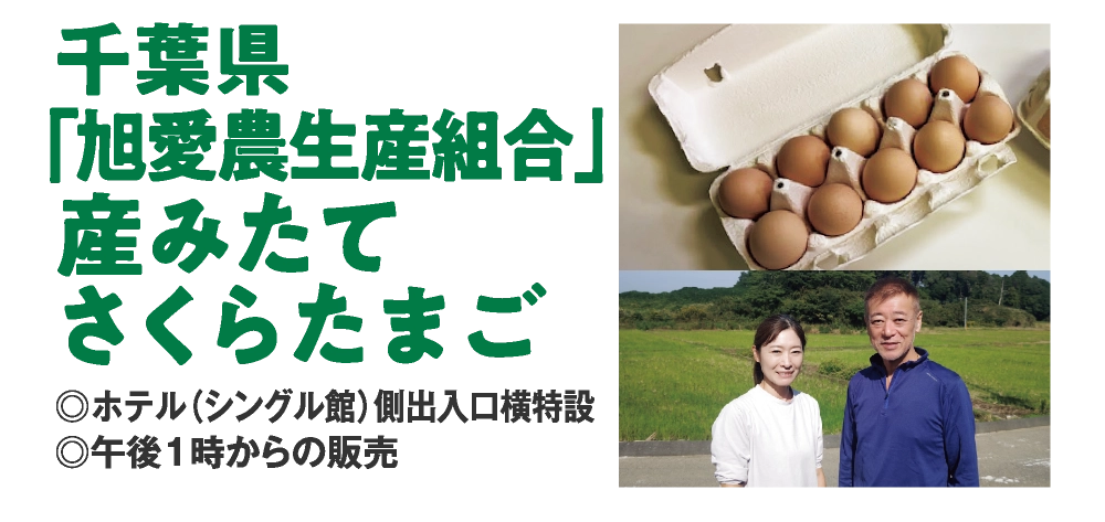 千葉県
「旭愛農生産組合」
産みたて
さくらたまご