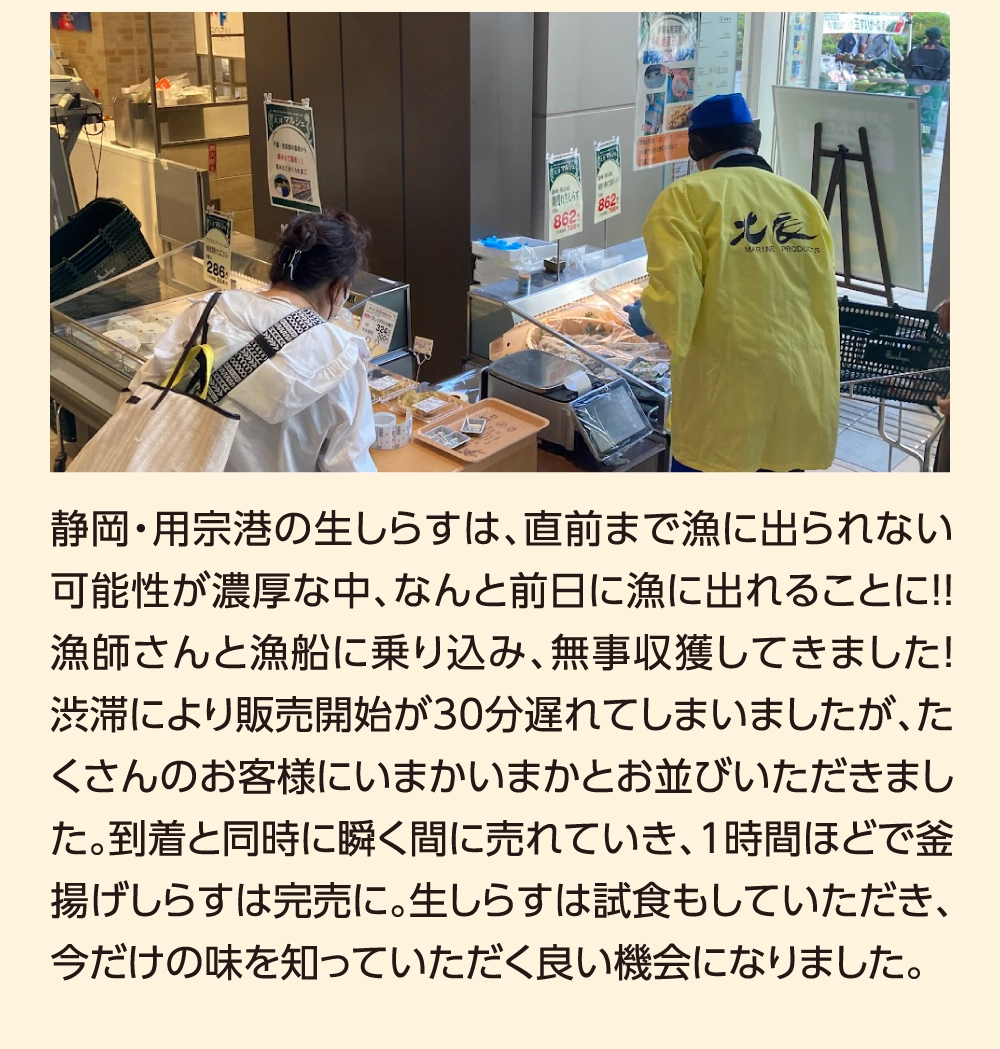 静岡・用宗港の生しらすは、直前まで漁に出られない可能性が濃厚な中、なんと前日に漁に出れることに！！ 漁師さんと漁船に乗り込み、無事収獲してきました！ 渋滞により販売開始が30分遅れてしまいましたが、たくさんのお客様にいまかいまかとお並びいただきました。到着と同時に瞬く間に売れていき、1時間ほどで釜揚げしらすは完売に。生しらすは試食もしていただき、今だけの味を知っていただく良い機会になりました。