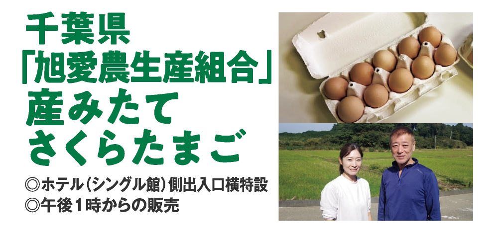 千葉県
「旭愛農生産組合」
産みたて
さくらたまご