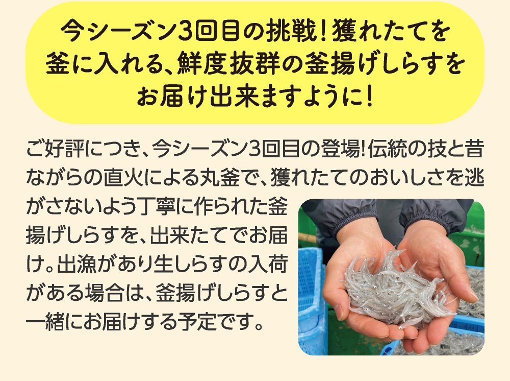 今シーズン3回目の挑戦！獲れたてを
釜に入れる、鮮度抜群の釜揚げしらすを
お届け出来ますように！