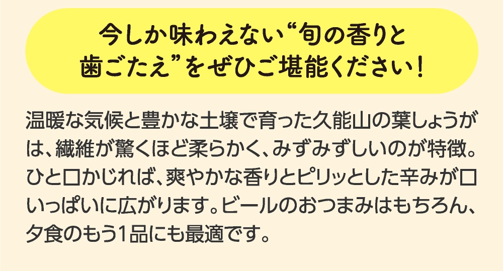 今しか味わえない“旬の香りと
歯ごたえ”をぜひご堪能ください！