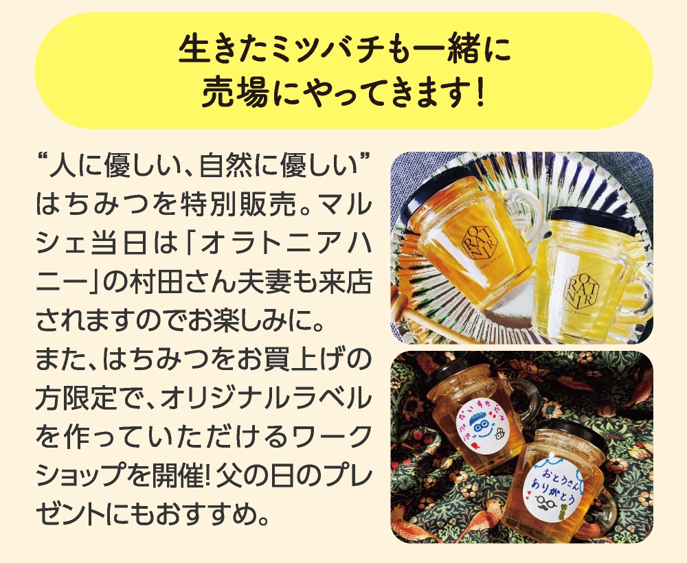 生きたミツバチも一緒に
売場にやってきます！