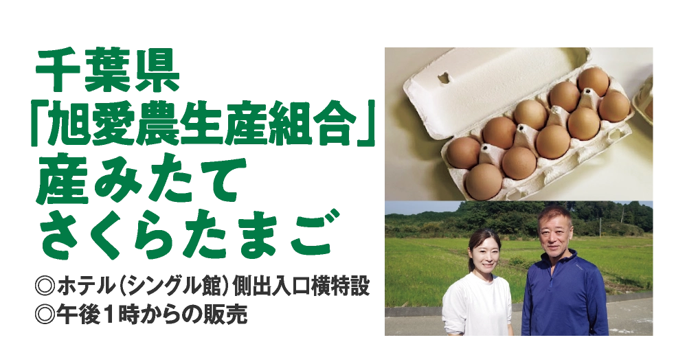 千葉県
「旭愛農生産組合」
産みたて
さくらたまご