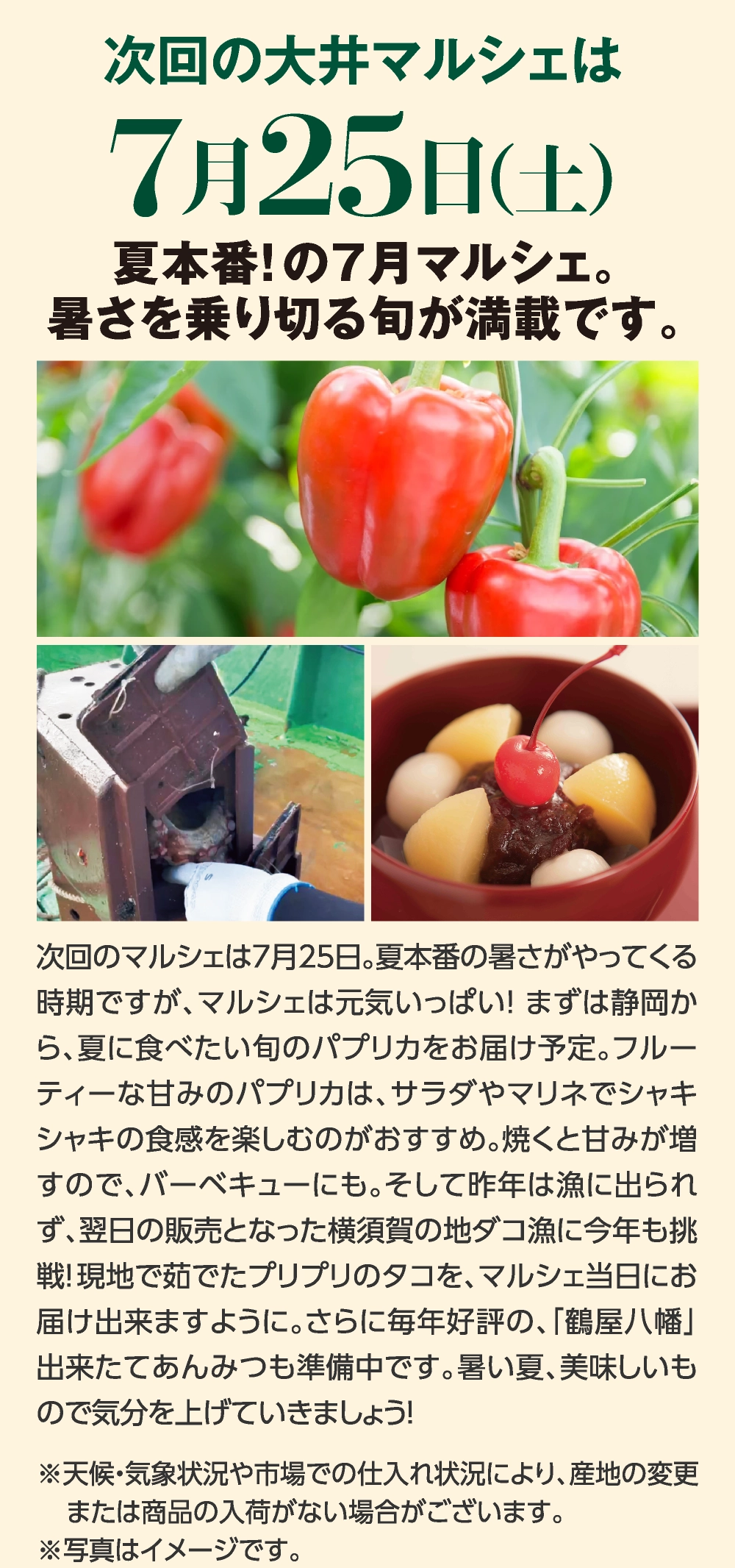7月25日（土）