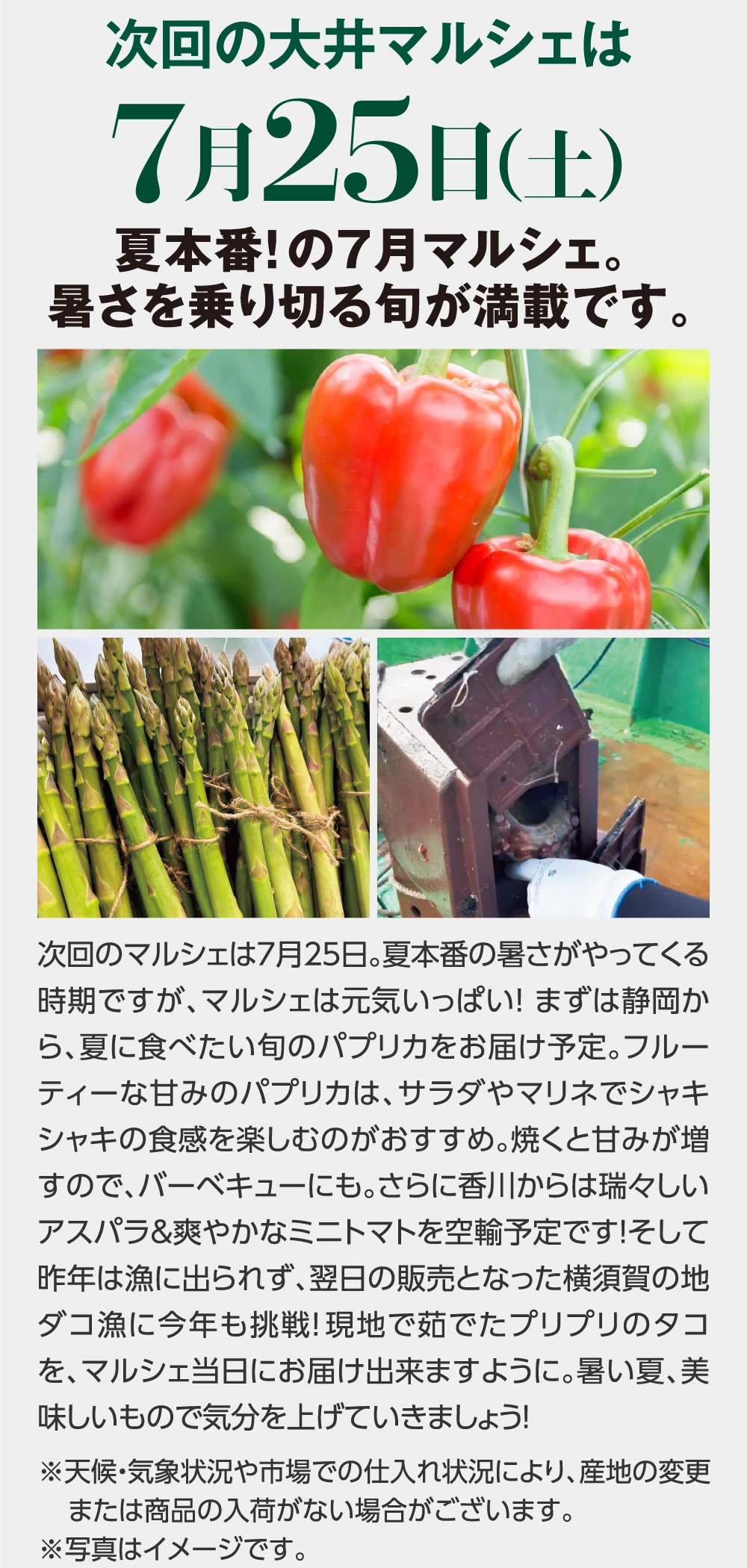 次回の大井マルシェは7月25日（土）
