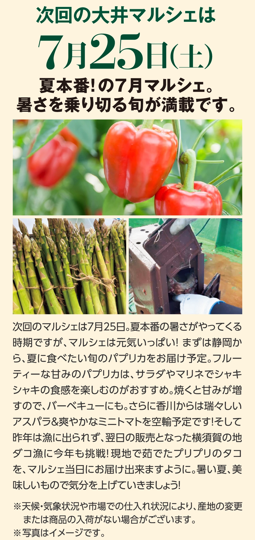 次回の大井マルシェは7月25日（土）