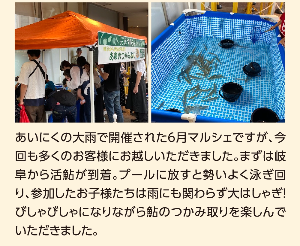 あいにくの大雨で開催された6月マルシェですが、今回も多くのお客様にお越しいただきました。まずは岐阜から活鮎が到着。プールに放すと勢いよく泳ぎ回り、参加したお子様たちは雨にも関わらず大はしゃぎ！びしゃびしゃになりながら鮎のつかみ取りを楽しんでいただきました。