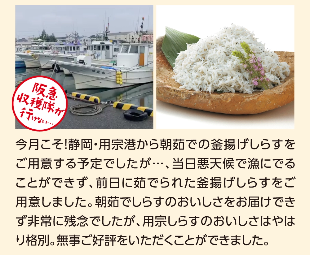 今月こそ！静岡・用宗港から朝茹での釜揚げしらすをご用意する予定でしたが…、当日悪天候で漁にでることができず、前日に茹でられた釜揚げしらすをご用意しました。朝茹でしらすのおいしさをお届けできず非常に残念でしたが、用宗しらすのおいしさはやはり格別。無事ご好評をいただくことができました。