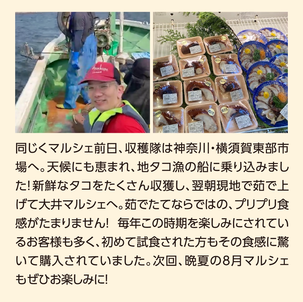 同じくマルシェ前日、収穫隊は神奈川・横須賀東部市場へ。天候にも恵まれ、地タコ漁の船に乗り込みました！新鮮なタコをたくさん収獲し、翌朝現地で茹で上げて大井マルシェへ。茹でたてならではの、プリプリ食感がたまりません！ 毎年この時期を楽しみにされているお客様も多く、初めて試食された方もその食感に驚いて購入されていました。次回、晩夏の8月マルシェもぜひお楽しみに！