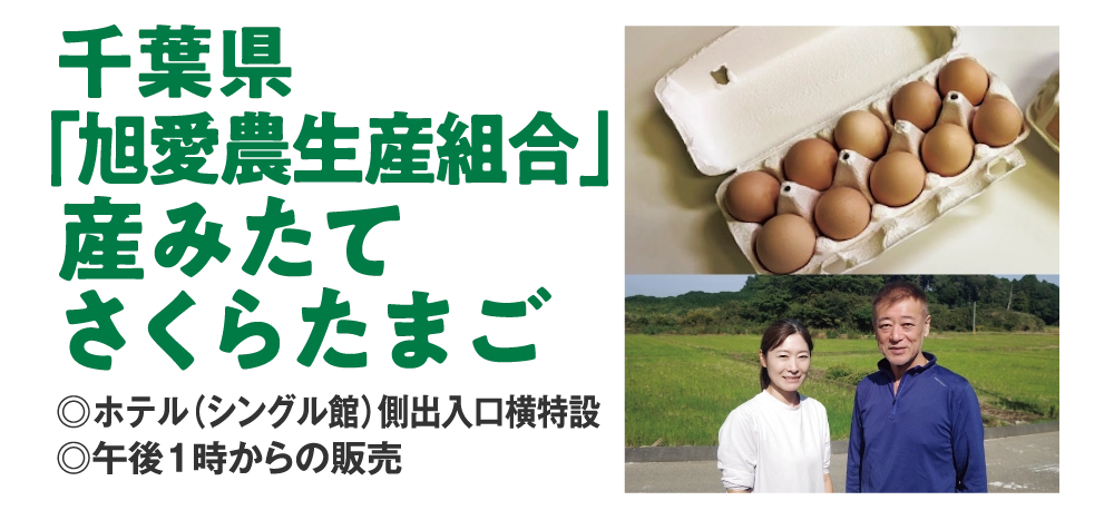 千葉県
「旭愛農生産組合」
産みたて
さくらたまご