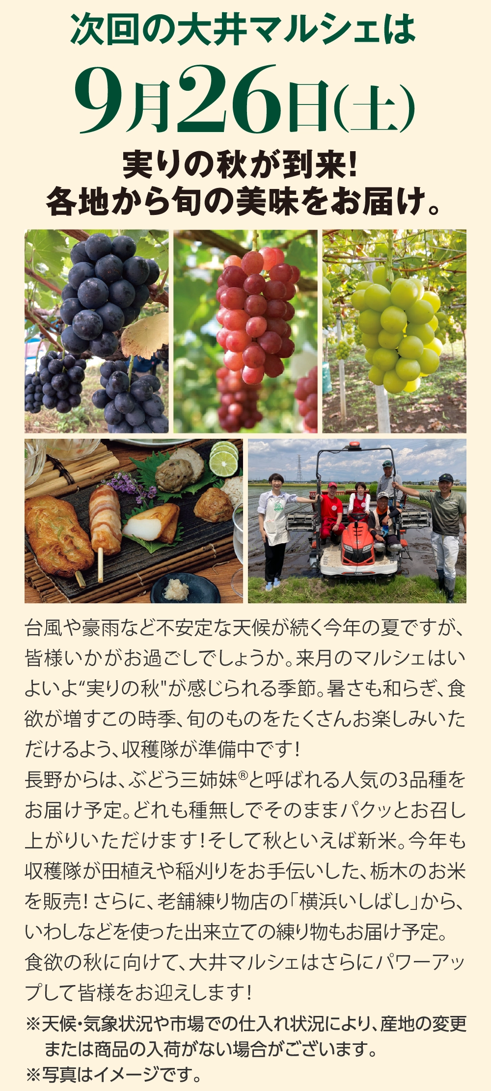 次回の大井マルシェは9月26日（土）
