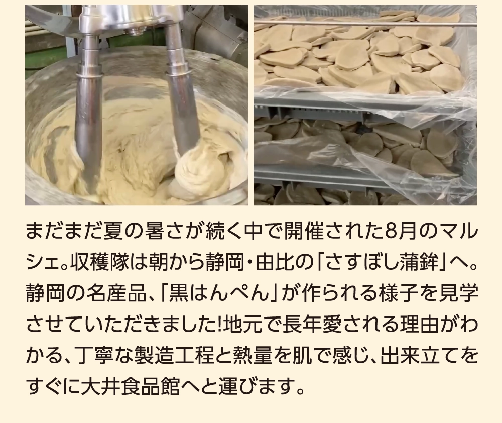 まだまだ夏の暑さが続く中で開催された8月のマルシェ。収穫隊は朝から静岡・由比の「さすぼし蒲鉾」へ。静岡の名産品、「黒はんぺん」が作られる様子を見学させていただきました！地元で長年愛される理由がわかる、丁寧な製造工程と熱量を肌で感じ、出来立てをすぐに大井食品館へと運びます。