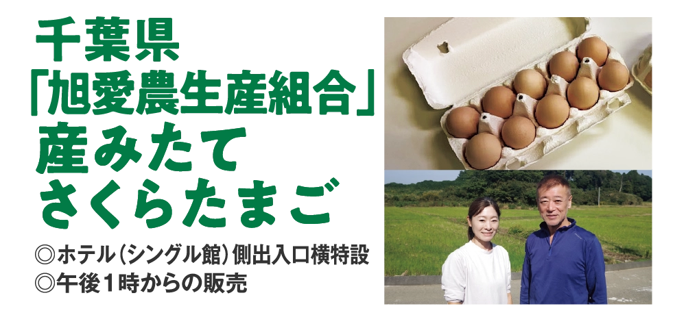 千葉県
「旭愛農生産組合」
産みたて
さくらたまご
